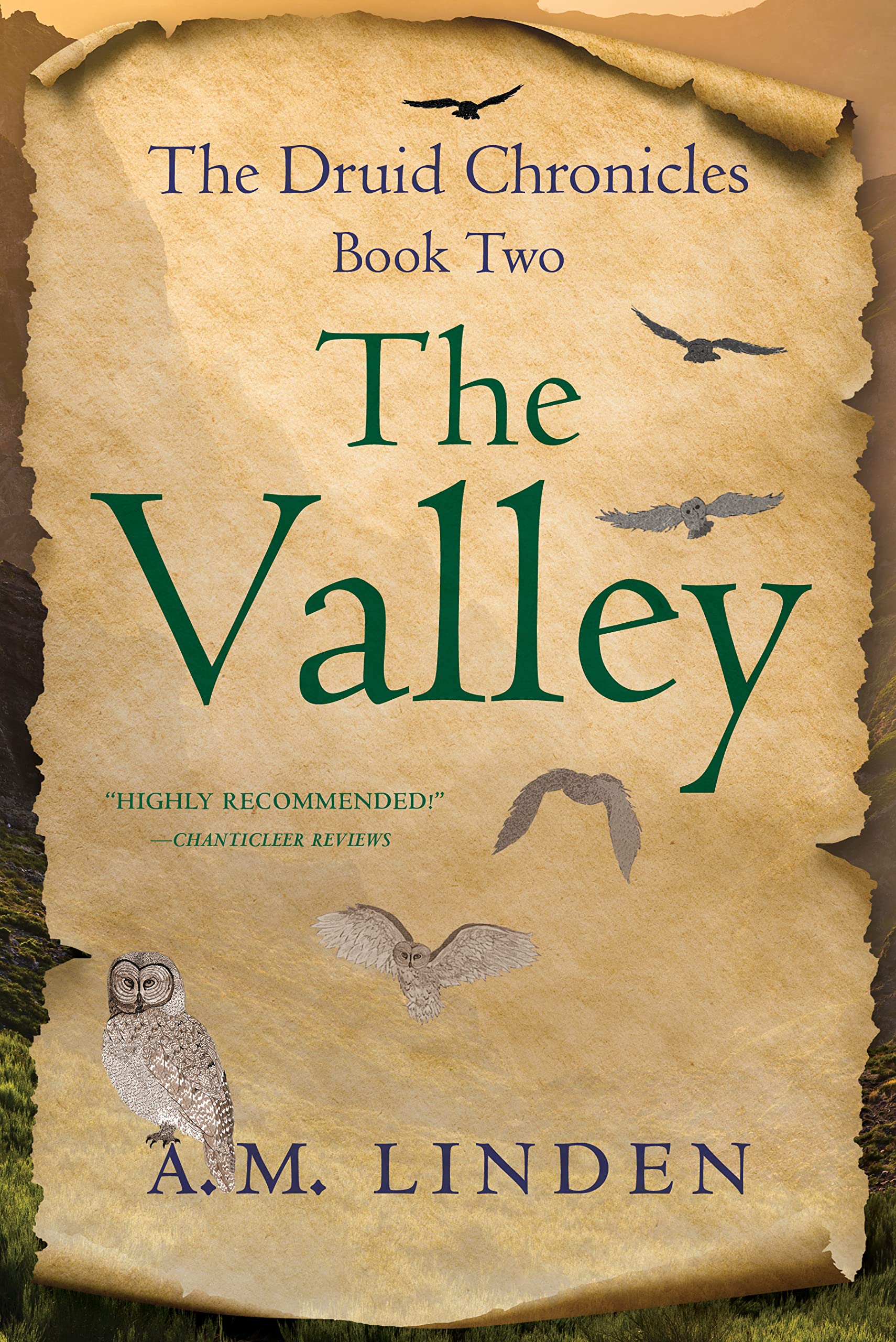 The Valley: The Druid Chronicles, Book Two (The Druid Chronicles, 2) Action & Adventure