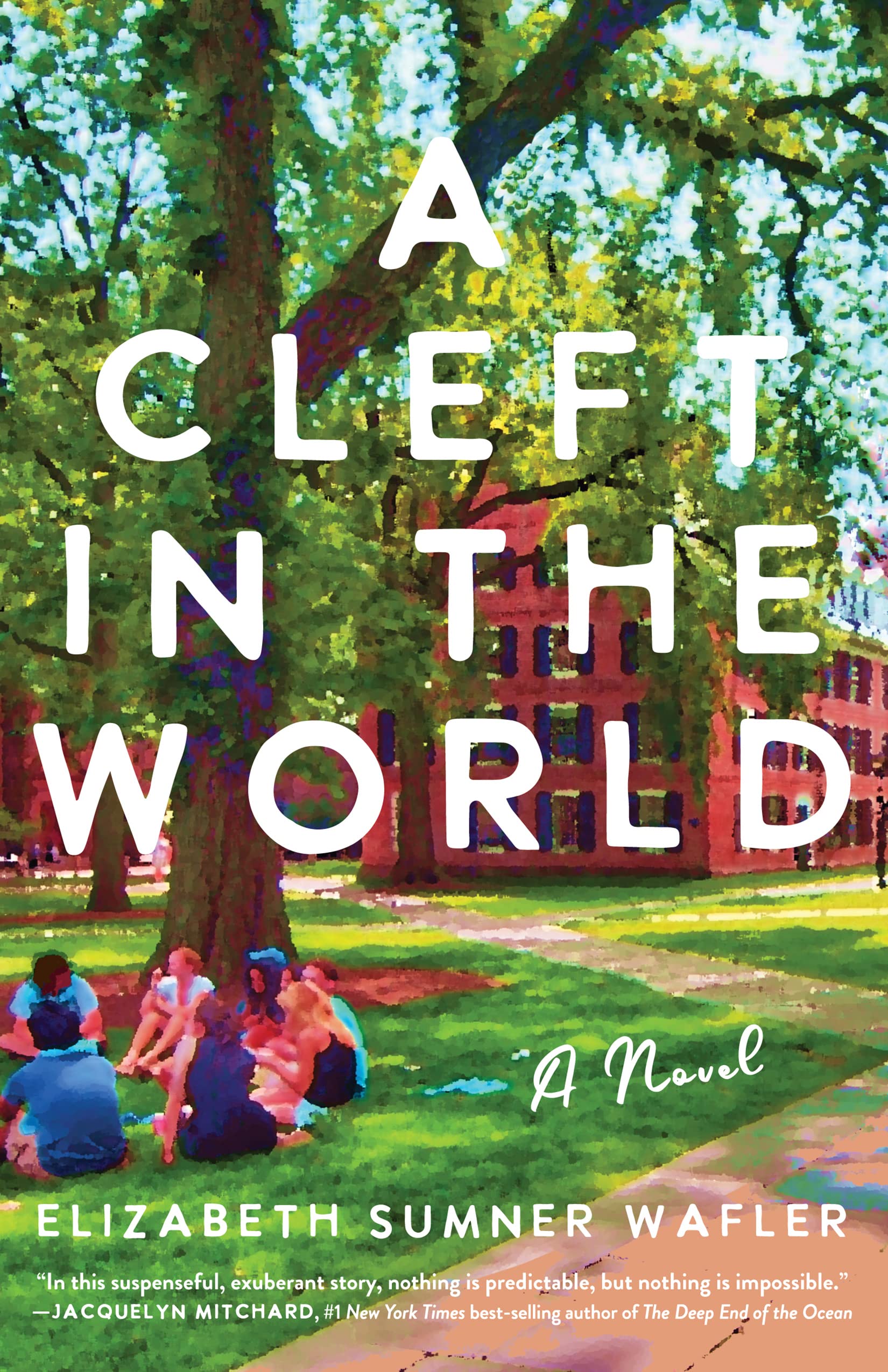 A Cleft in the World: A Novel Contemporary literature