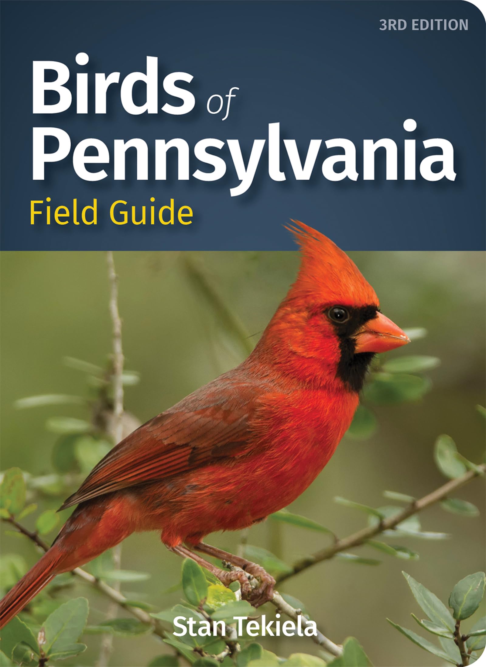 Birds of Pennsylvania Field Guide book
