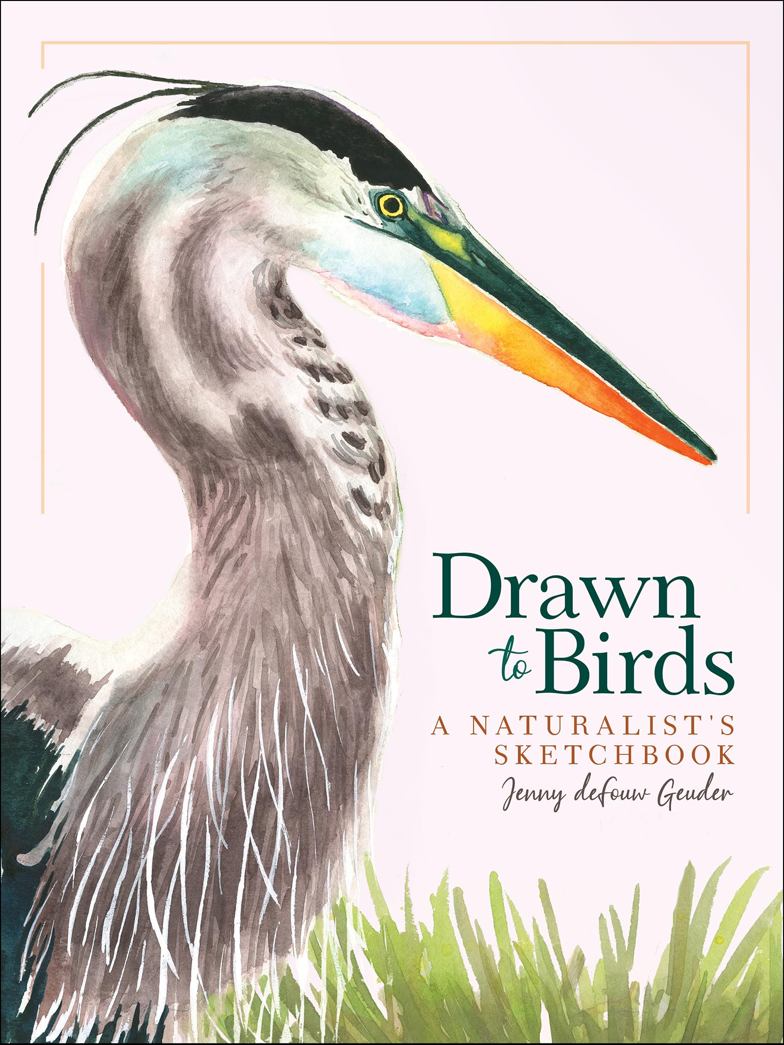 Drawn to Birds: A Naturalist's Sketchbook (Jenny Geuder Art) Mathematics