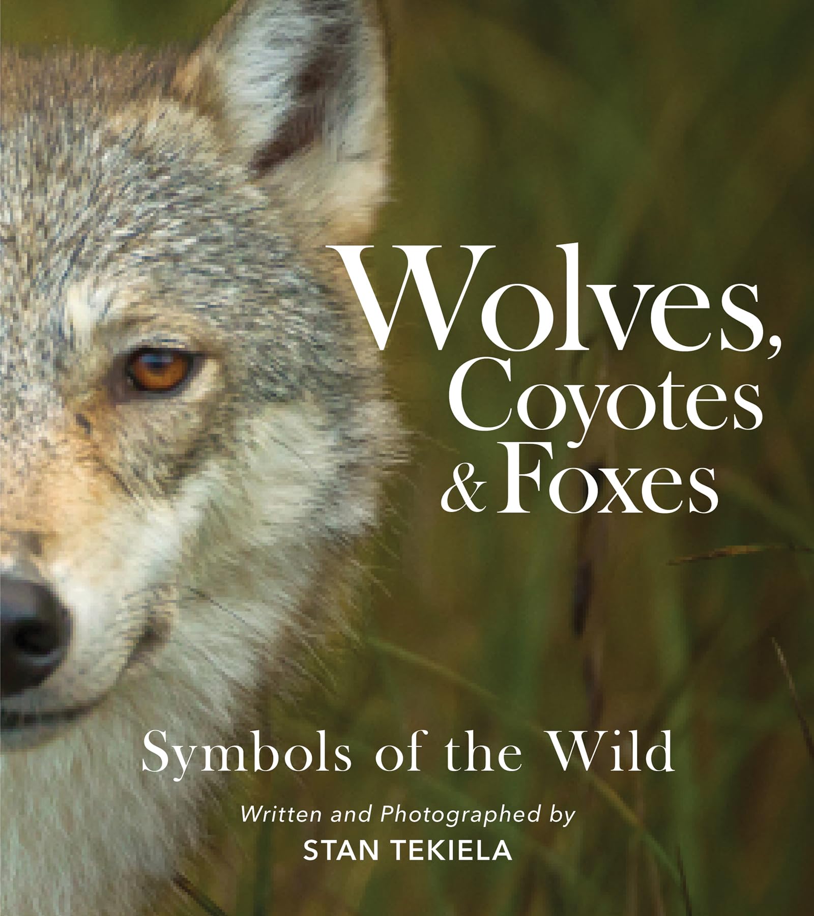 Wolves, Coyotes & Foxes: Symbols of the Wild (Favorite Wildlife) Mathematics