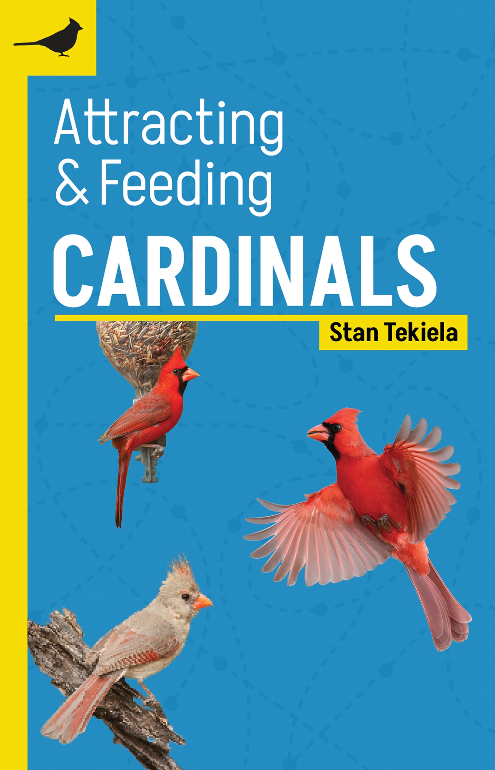 Attracting & Feeding Cardinals (Backyard Bird Feeding Guides) Mathematics