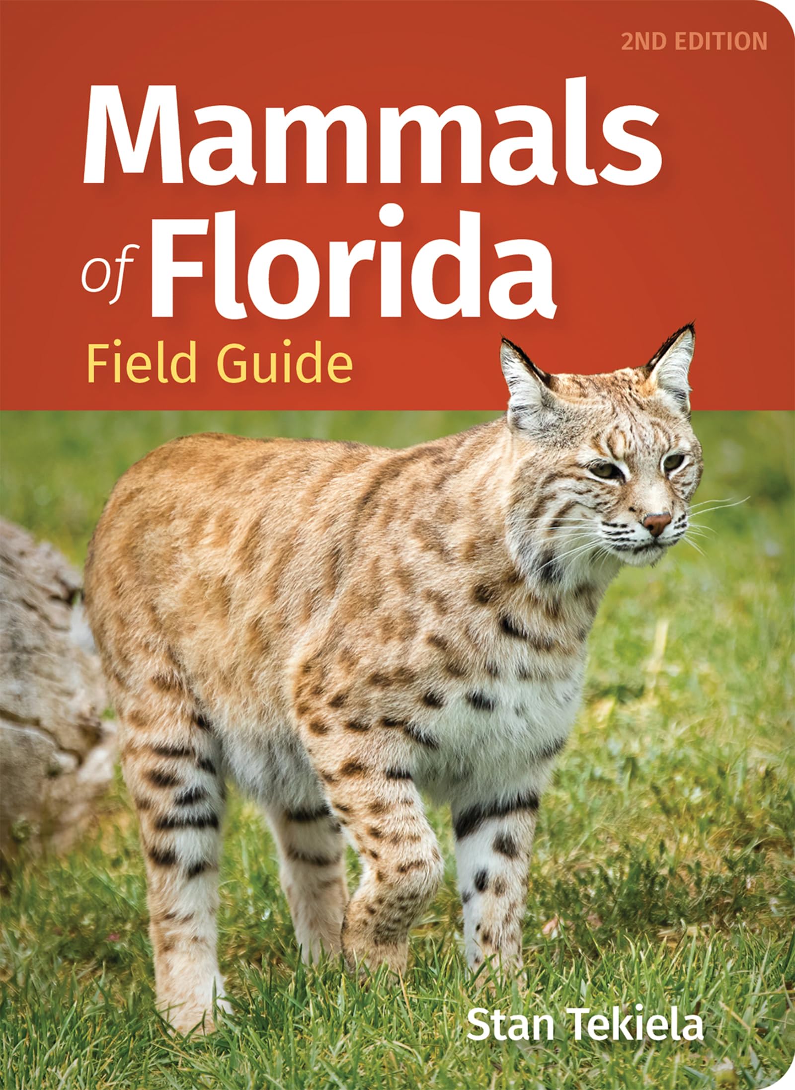Mammals of Florida Field Guide (Mammal Identification Guides) Mathematics
