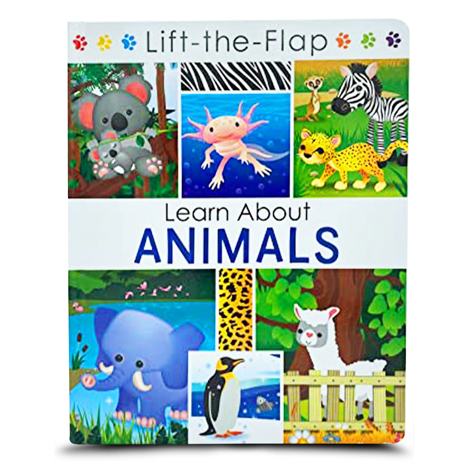 En savoir plus sur les animaux – Lift the Flap Activity Livres pour enfants – Livres pour enfants, livres pour tout-petits book