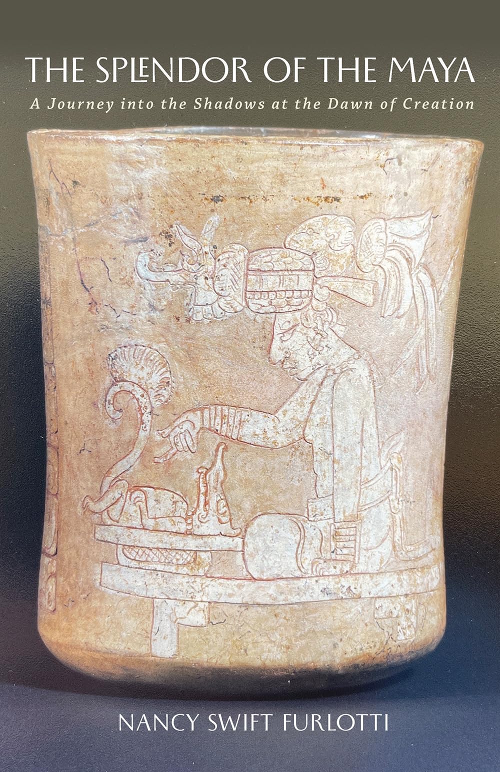 The Splendor of the Maya: A Journey into the Shadows at the Dawn of Creation (Carolyn and Ernest Fay Series in Analytical Psychology, 23) Medicine
