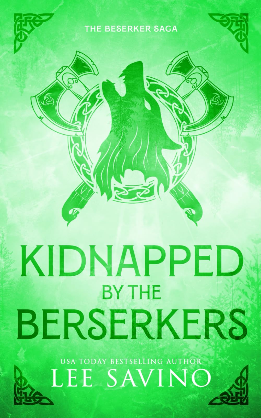 Kidnapped by the Berserkers Discreet Edition Historical Fiction
