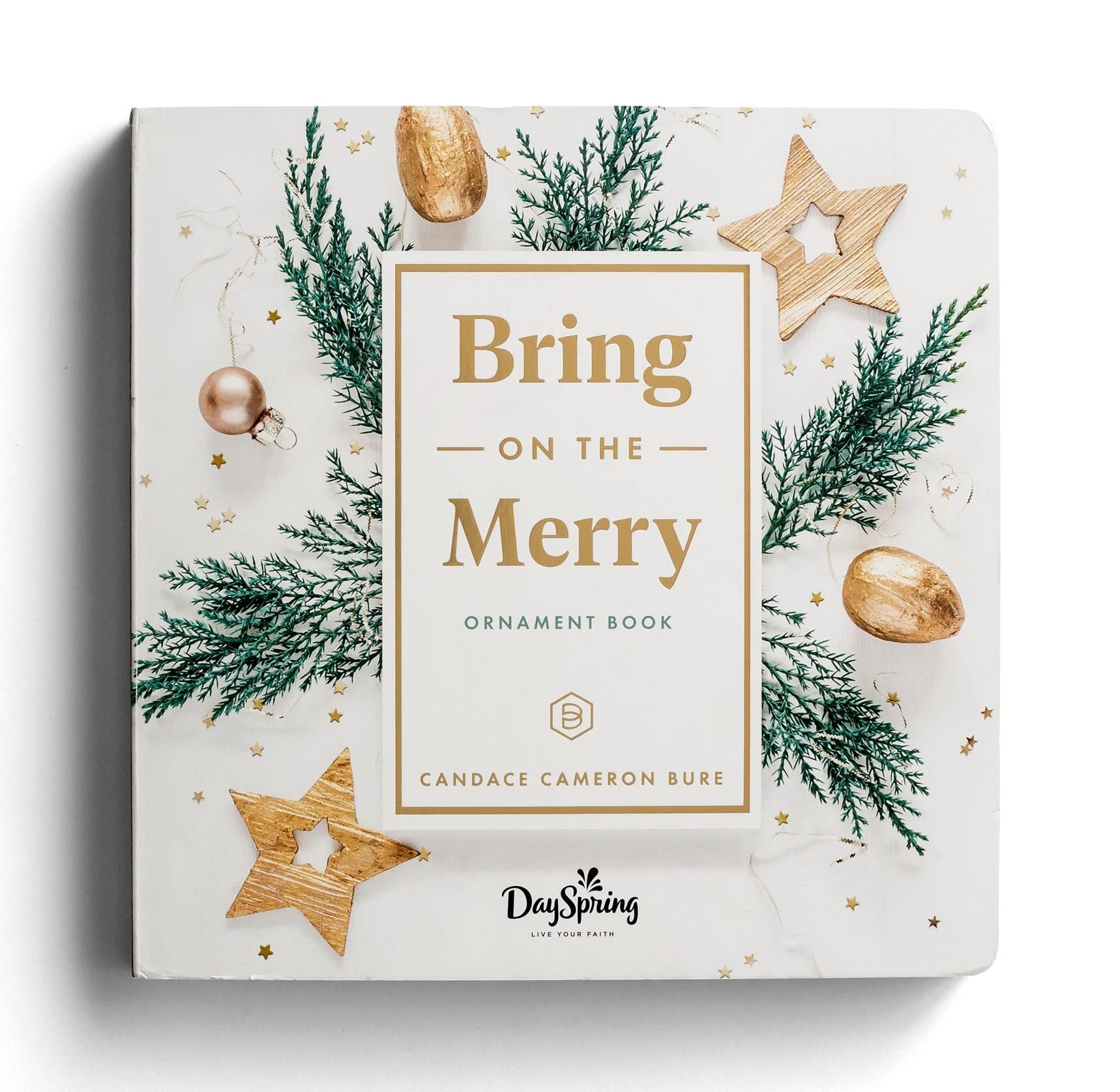 Bring on the Merry Ornament Book Books