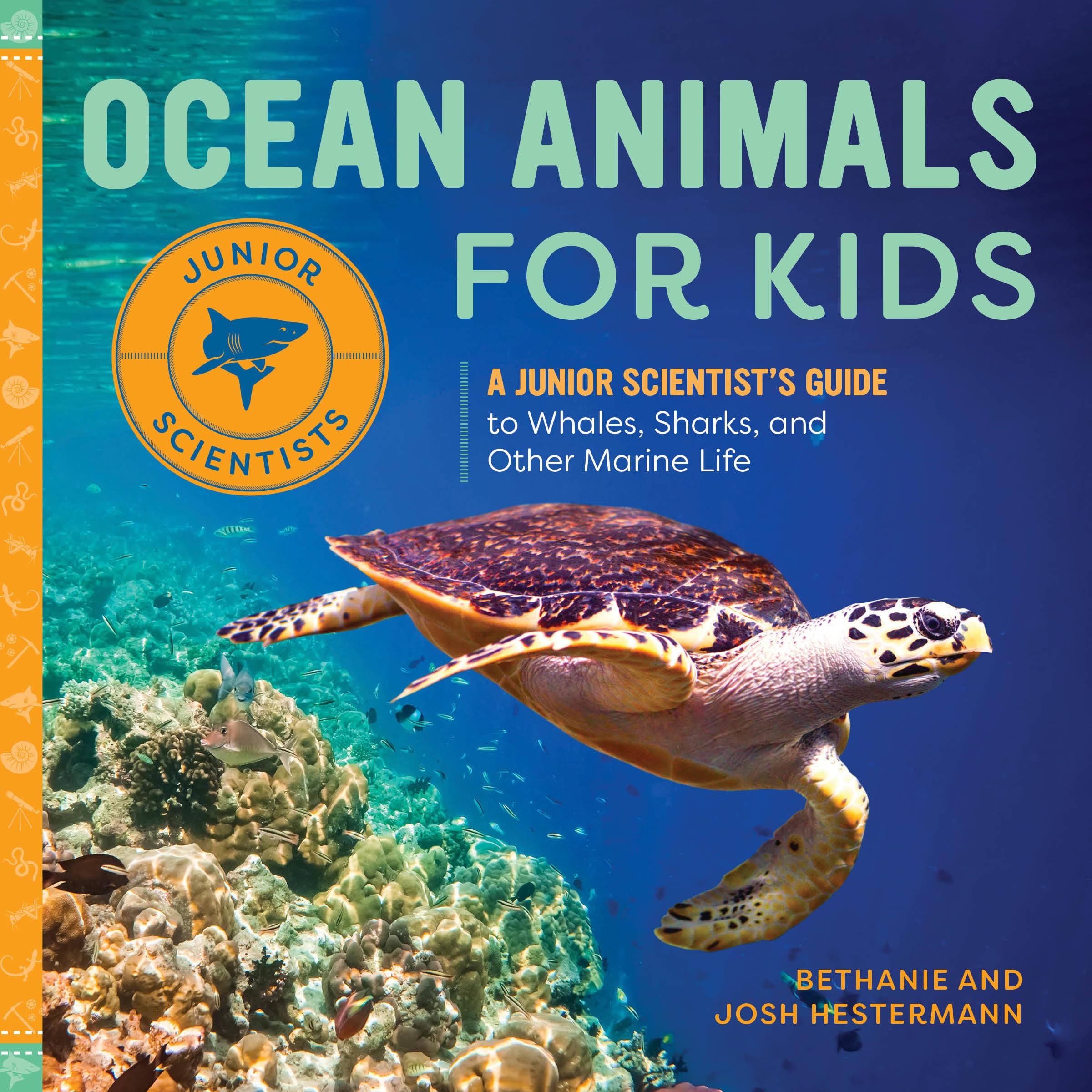 Ocean Animals for Kids Non-fiction books for kids