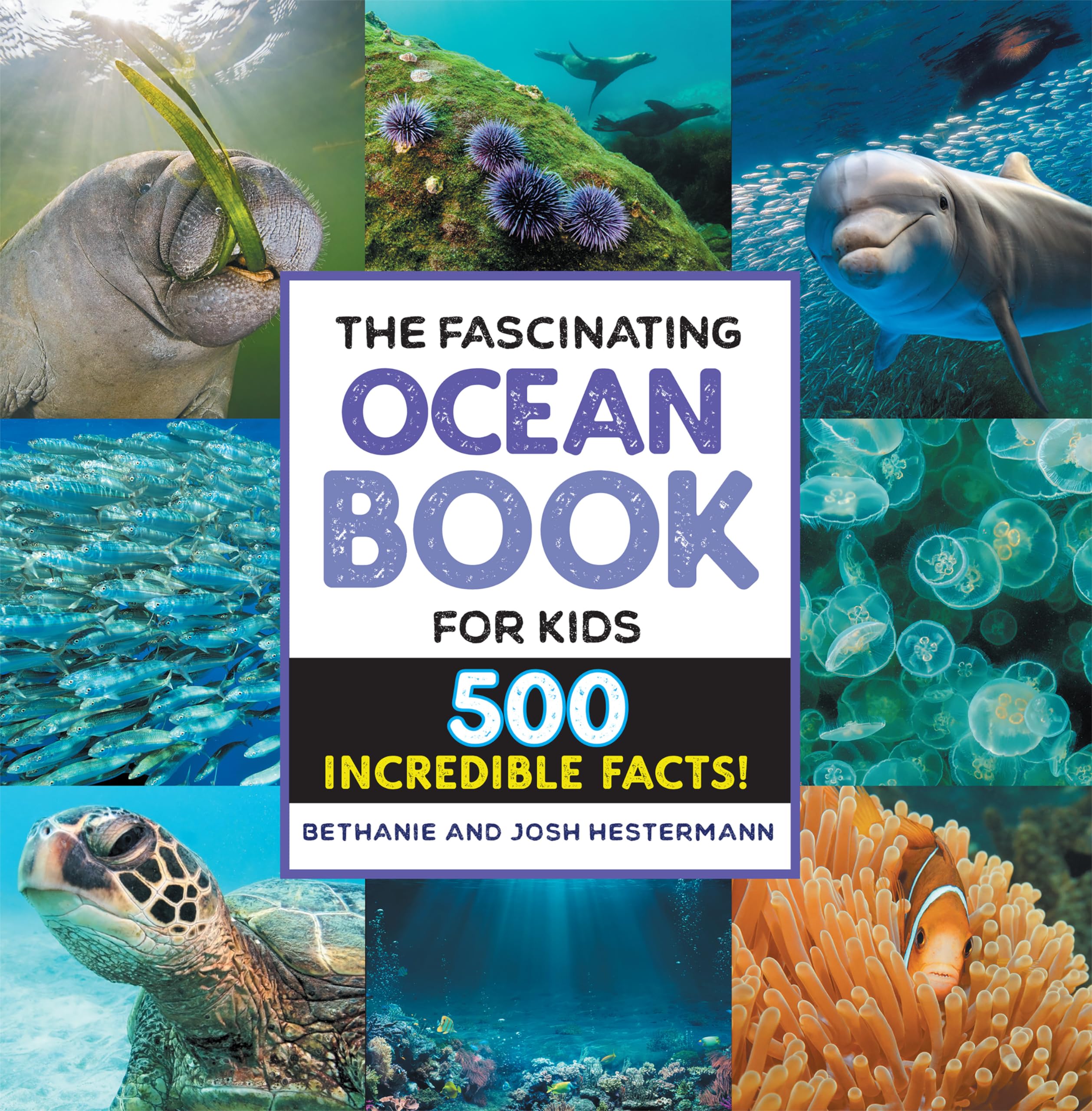 The Fascinating Ocean Book for Kids: 500 Incredible Facts! (Fascinating Facts) Tiptoi & Games