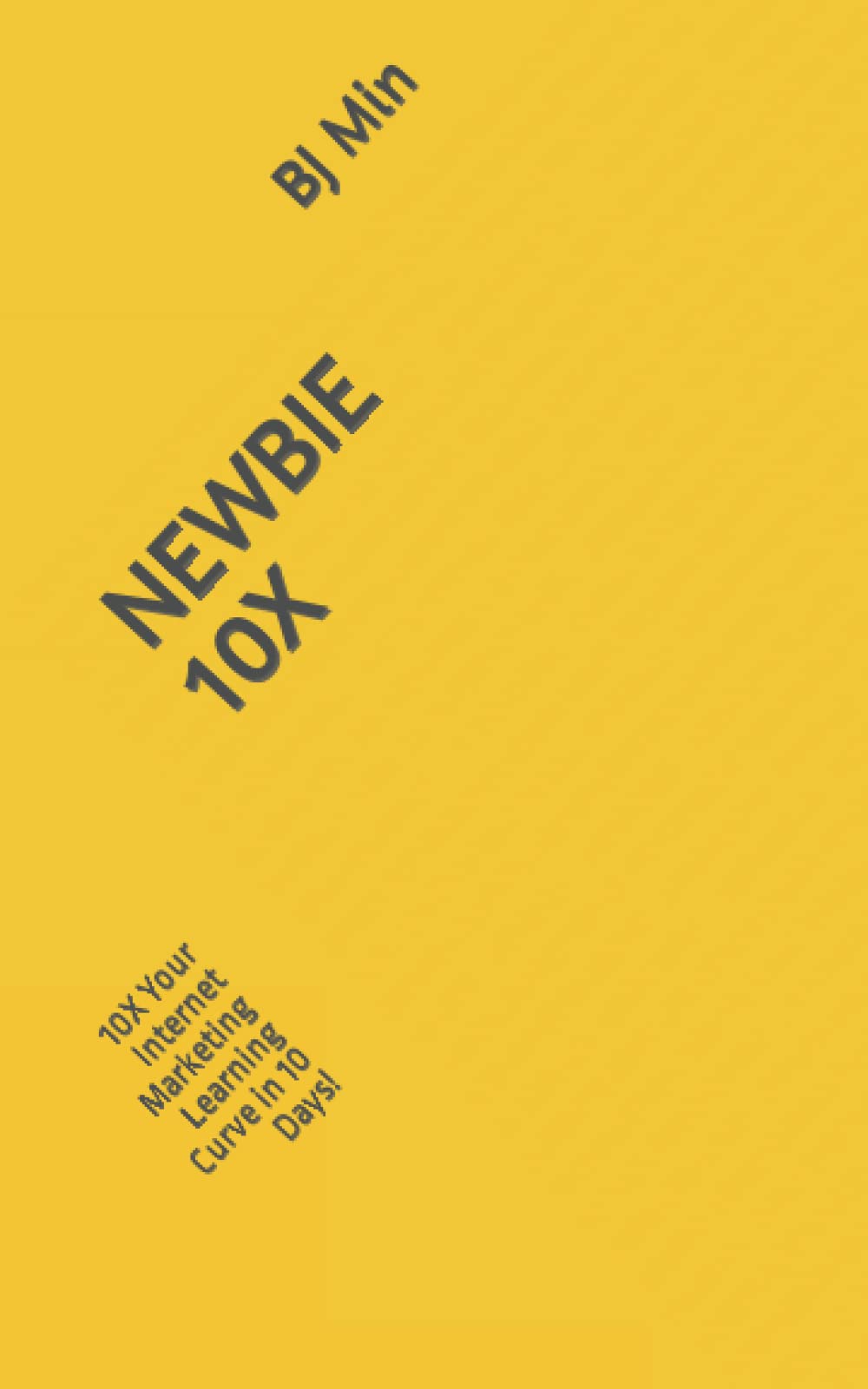 NEWBIE 10X: 10X Your Internet Marketing Learning Curve in 10 Days! Business, Finance & Career
