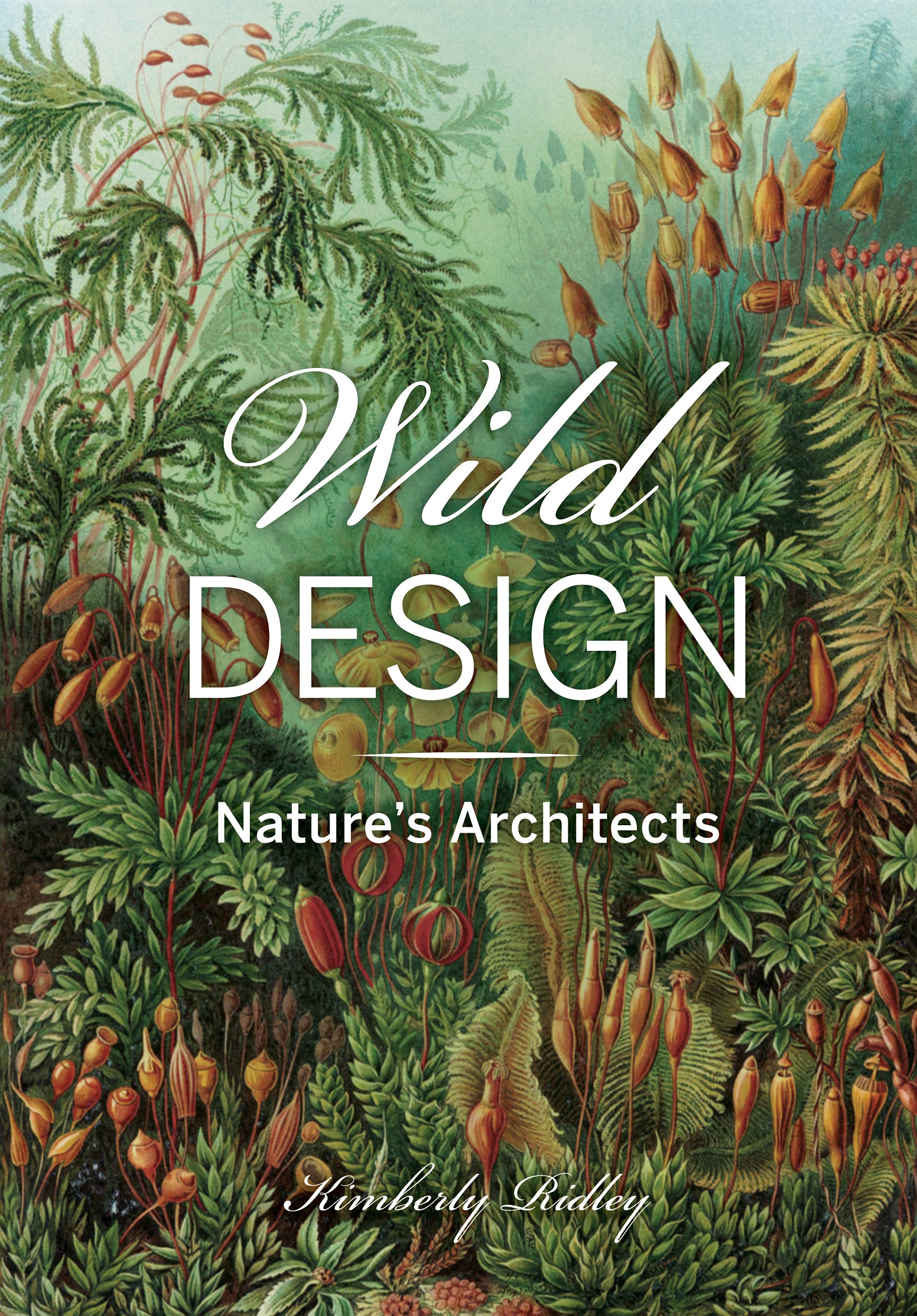 Wild Design The Architecture of Nature Mathematics