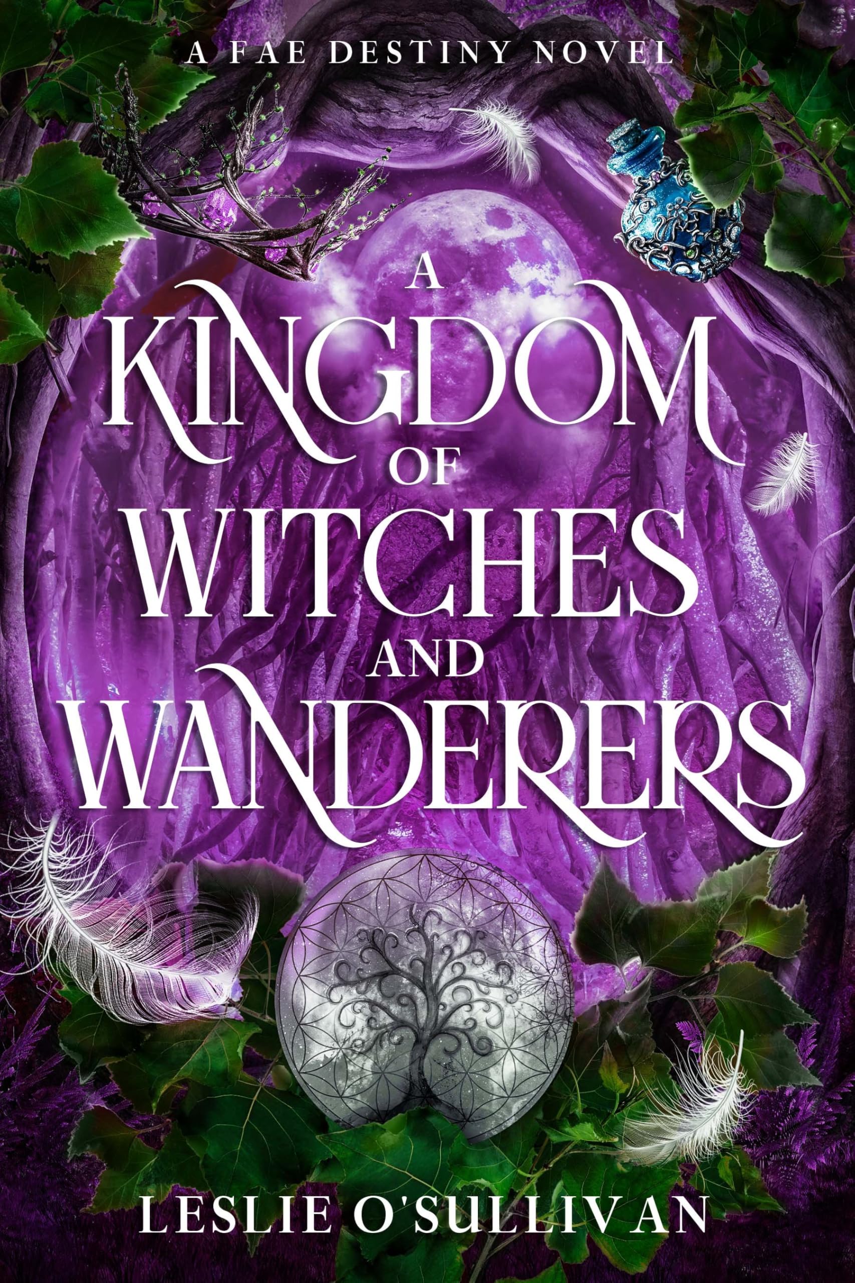 A Kingdom of Witches and Wanderers Fairy Tales & Legends