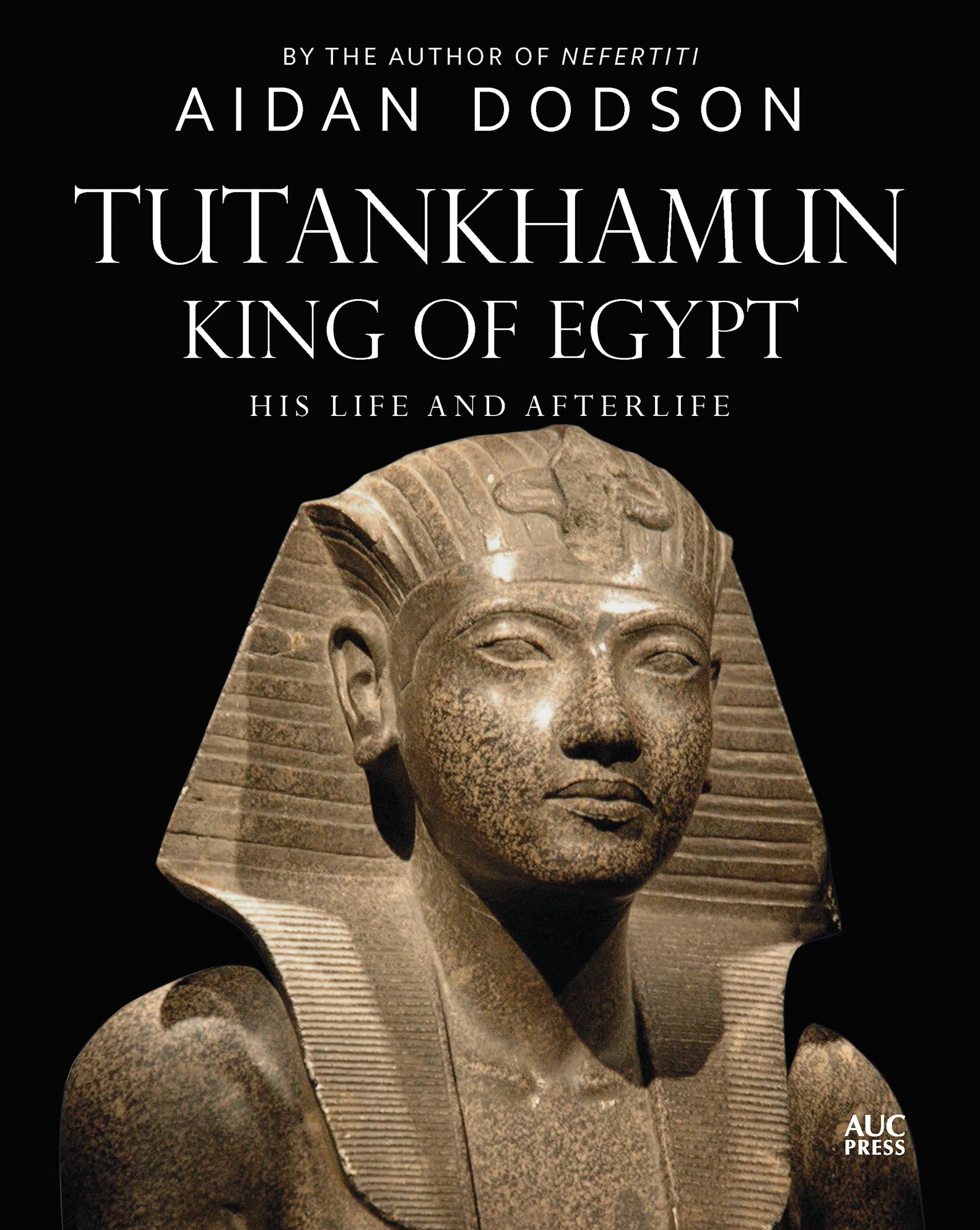 Tutankhamun, King of Egypt: His Life and Afterlife (Lives and Afterlives) Social Sciences