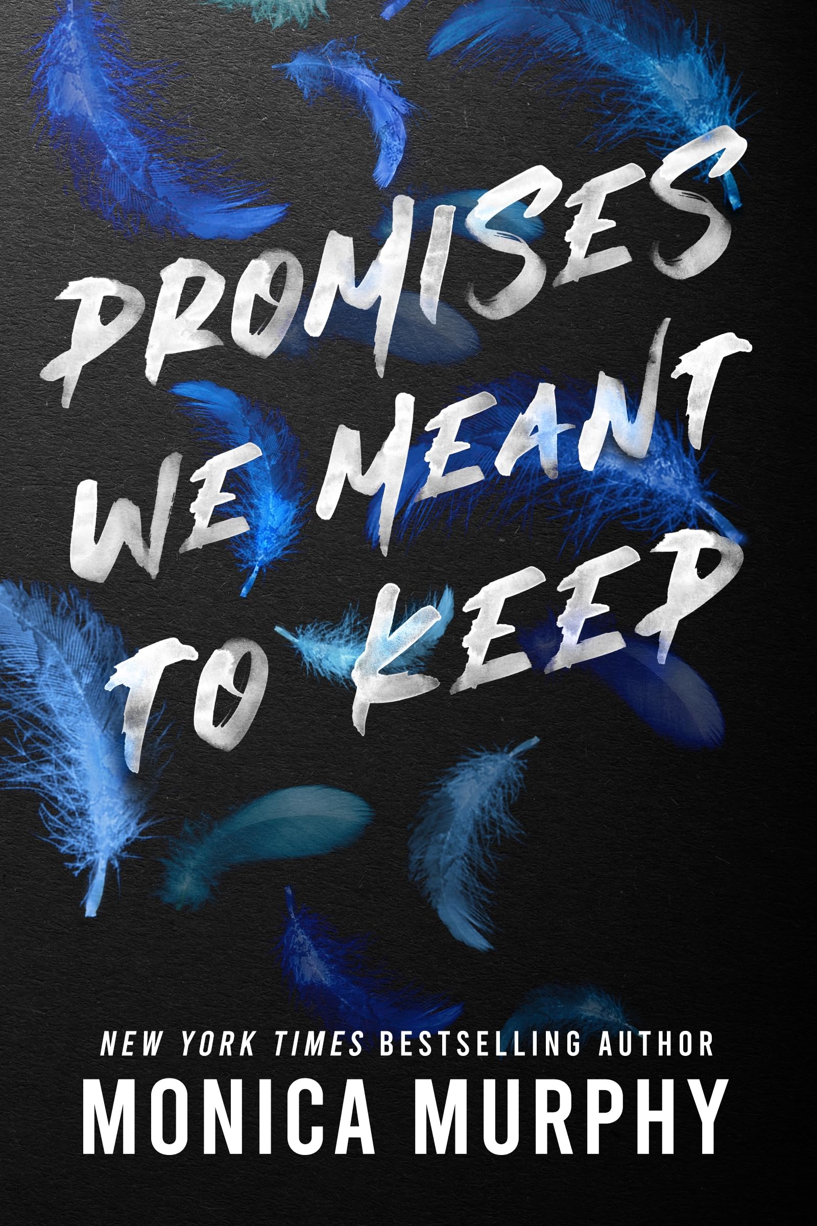 Product Image: Promises We Meant to Keep