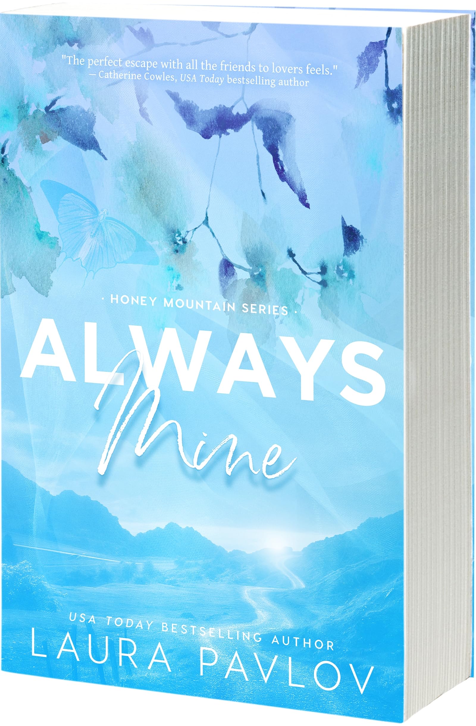 Always Mine Contemporary literature Books