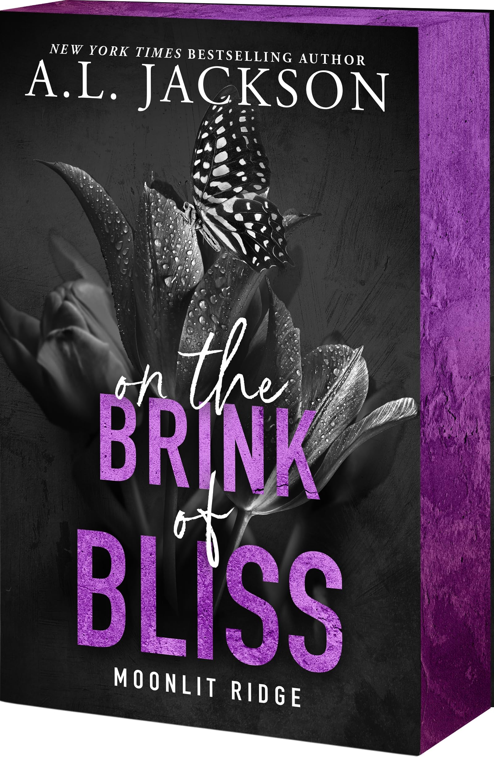 On the Brink of Bliss New Adult