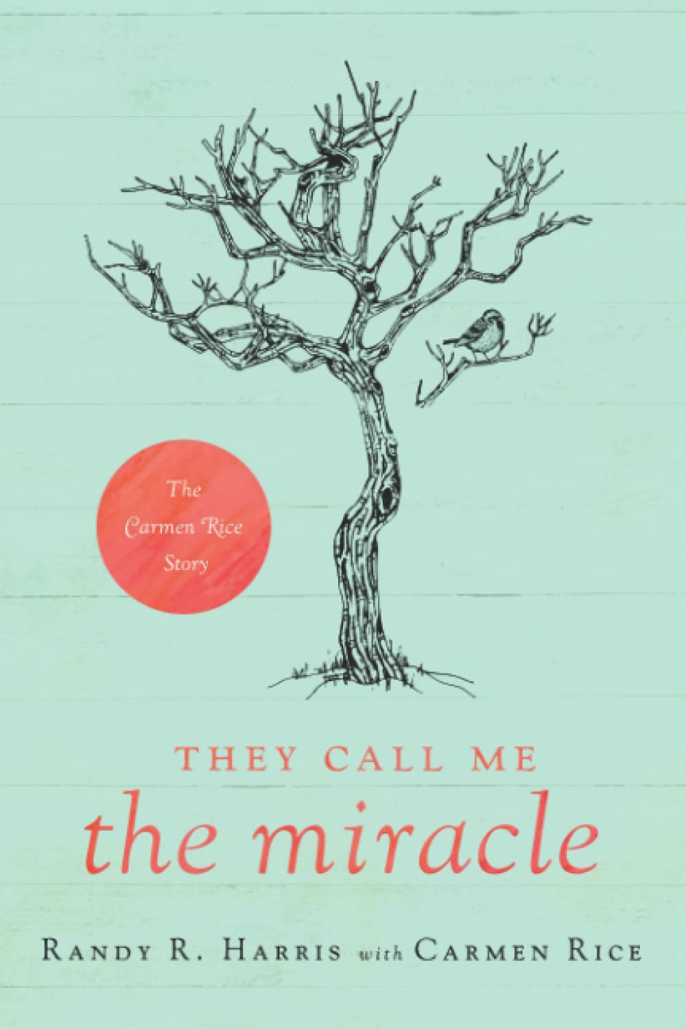 They Call Me The Miracle: The Carmen Rice Story book