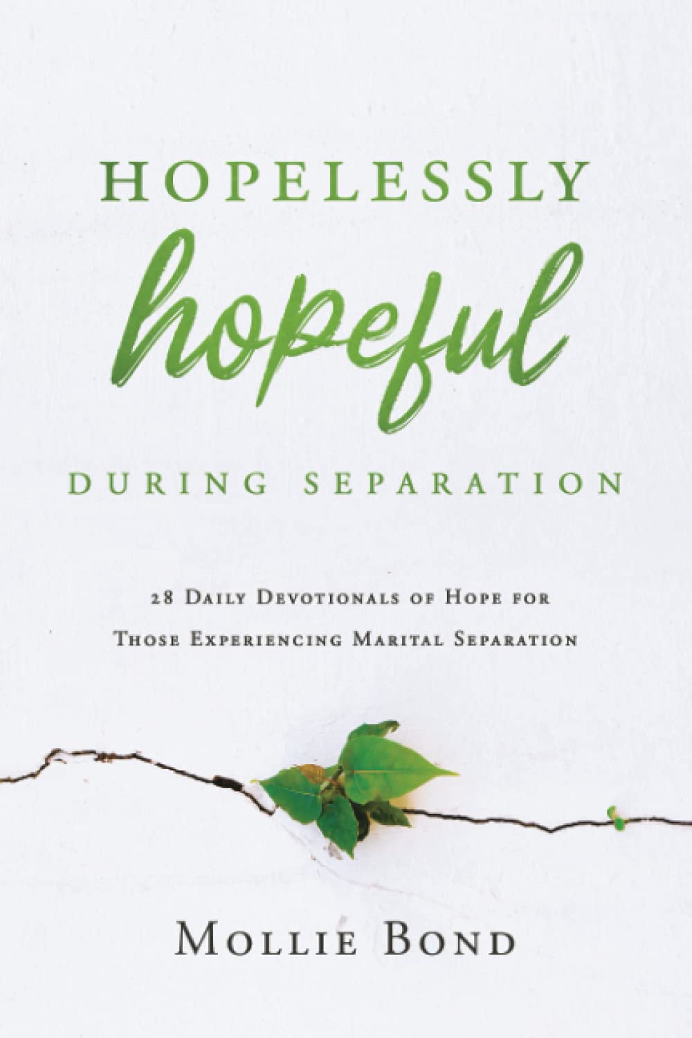 Hopelessly Hopeful During Separation: 28 Daily Devotionals of Hope for Those Experiencing Marital Separation Parents & Children