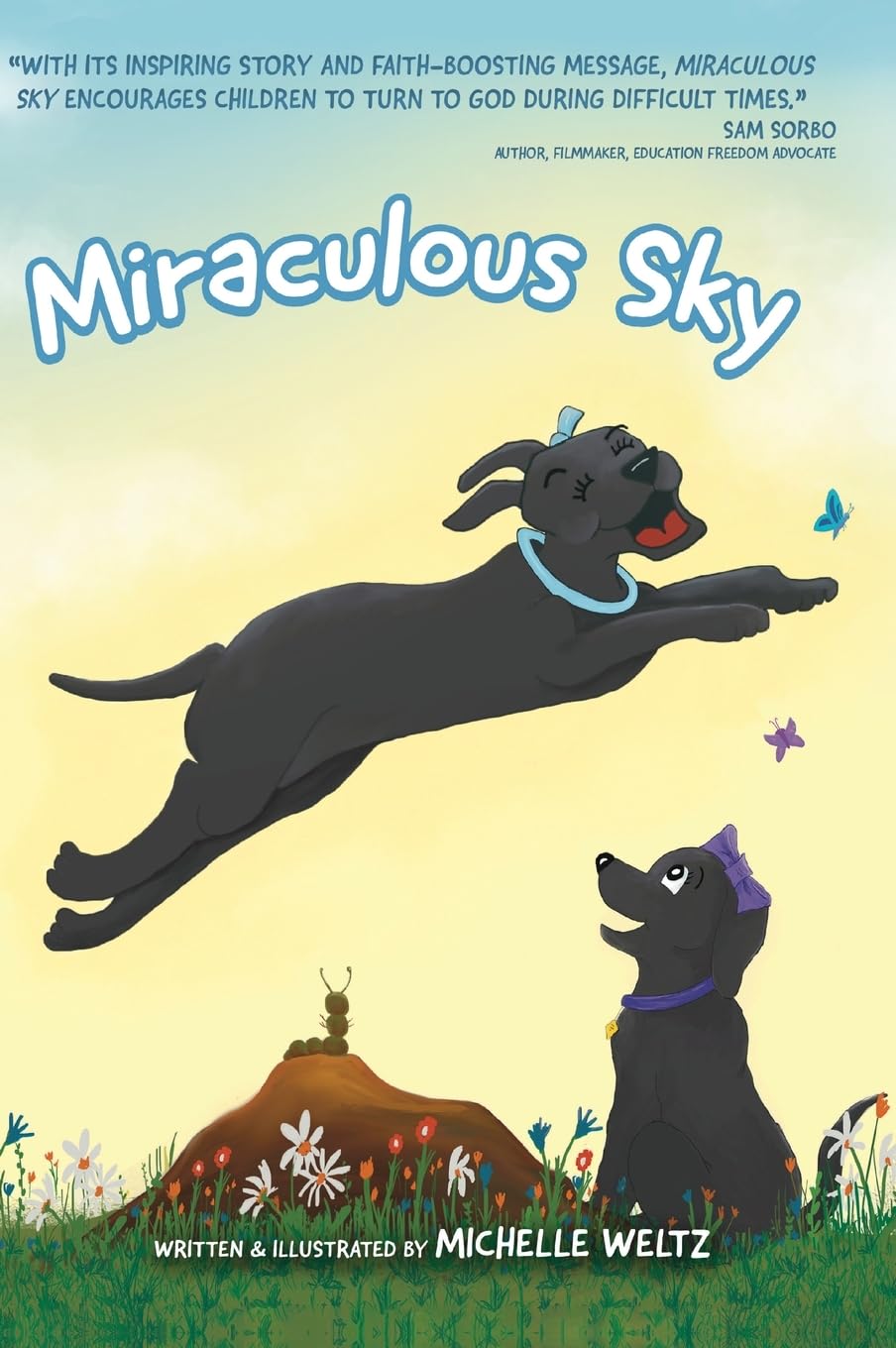 Product Image: Miraculous Sky