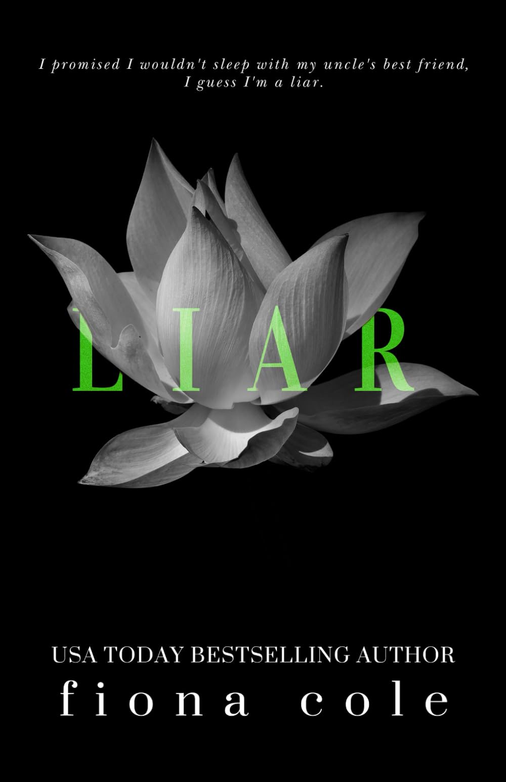 Liar (Voyeur Series, Band 5) Eroticism