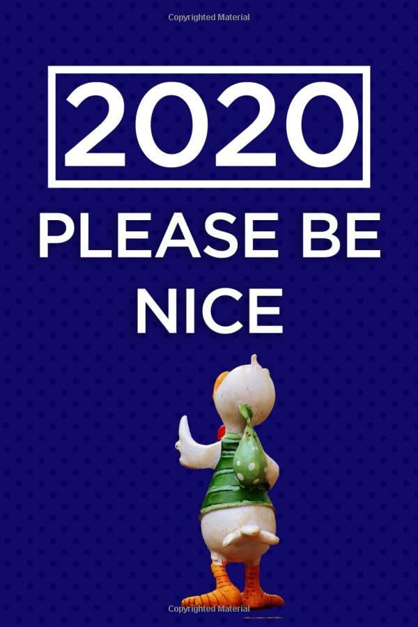 2020 please be nice: Personalized address book to organize your contacts this 2020 | perfect gift for your friends and family book
