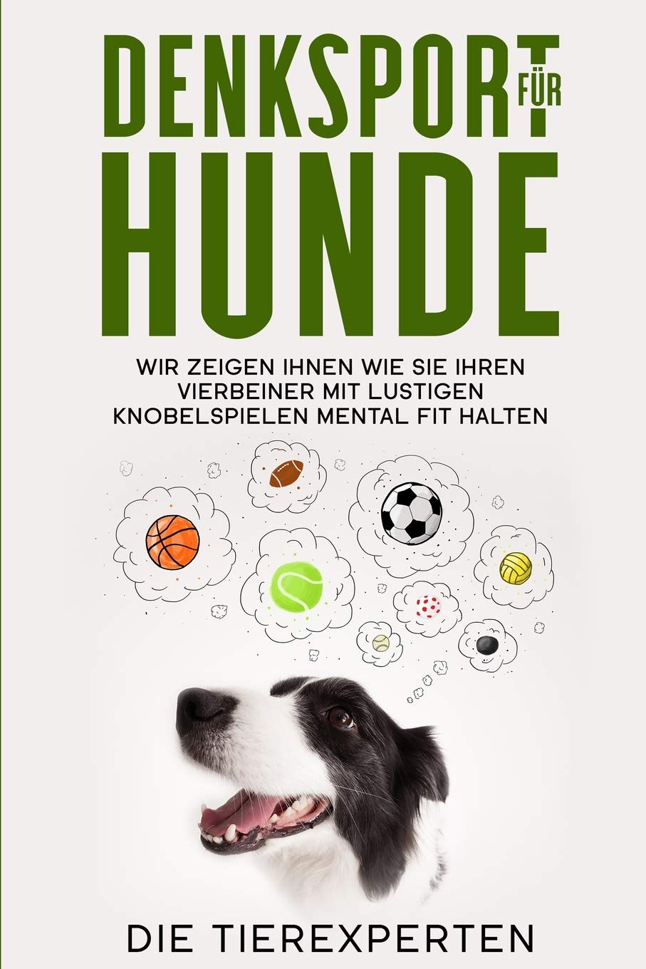 Denksport für Hunde: Wir zeigen Ihnen wie Sie Ihren Vierbeiner mit lustigen Knobelspielen mental fit halten Non-fiction