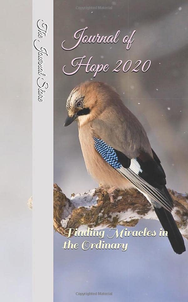 Journal of Hope 2020: Finding Miracles in the Ordinary (Journal 2020, Band 1) Religion & Esotericism