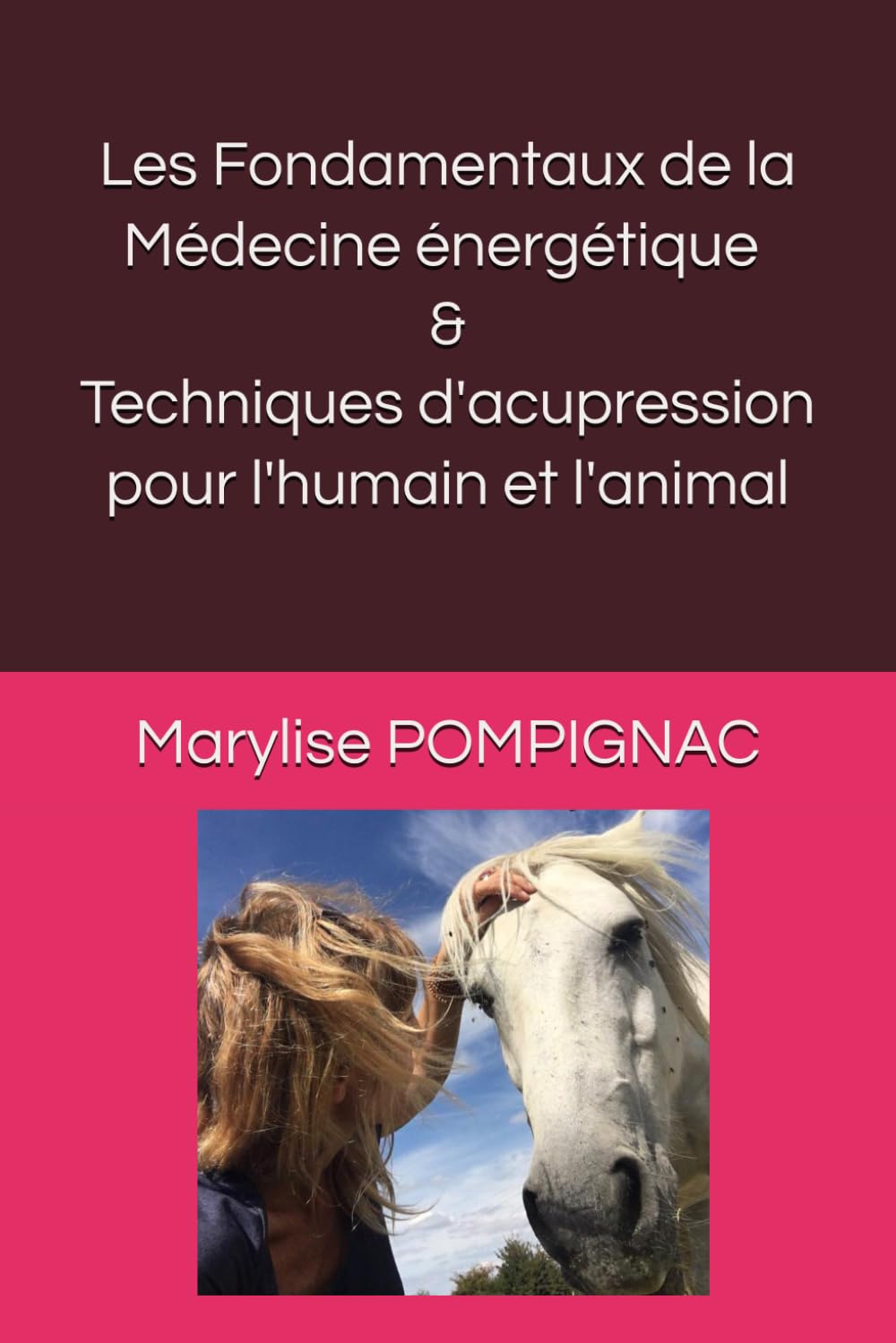 Fondamentaux de la Médecine Energétique et techniques d'acupression book