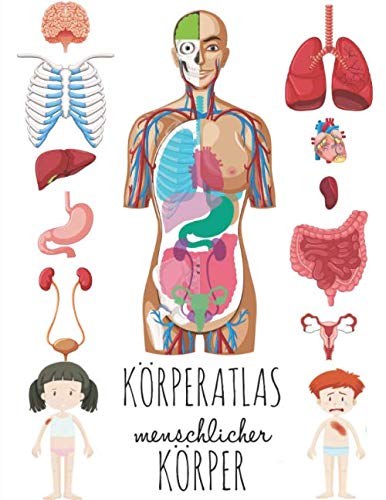 Körperatlas Menschlicher Körper: Buch vom körper für kinder, Mein körper organe. book