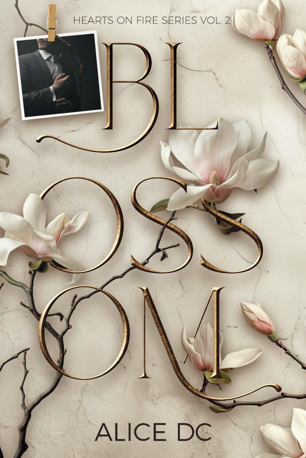 Product Image: Blossom: Hearts on Fire Series Vol. 2