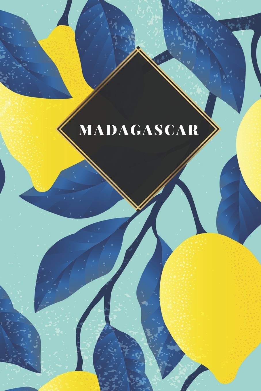 Madagascar: Ruled Travel Diary Notebook or Journey Journal - Lined Trip Pocketbook for Men and Women with Lines Books