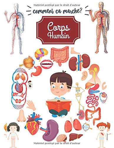 Comment ça marche ?: Corps humain 4 ans, Anatomie, Organes et physiologie pour enfant. book
