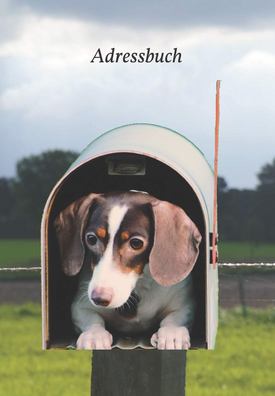 Adressbuch: Für Adressen, Telefonnummern, E-Mails, Geburtstage, Jubiläen und wichtige Informationen mit Dackel im Briefkasten (Dachshund) Home & Household