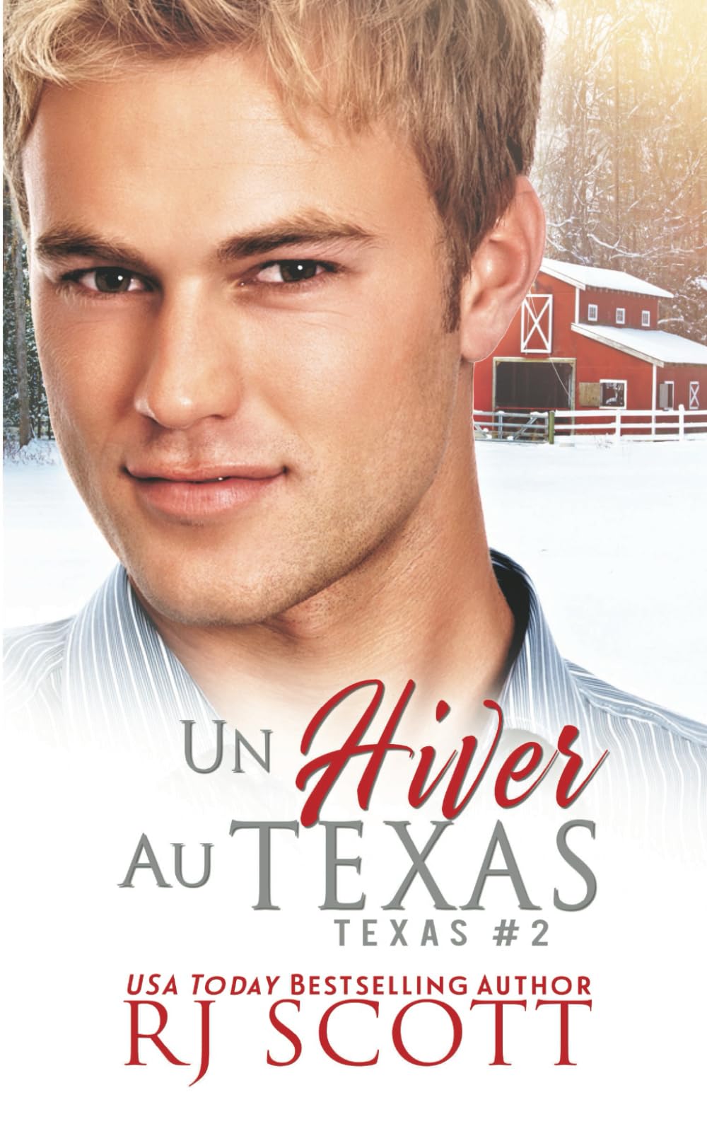 Un Hiver au Texas (Série Texas, Band 2) LGBTQ+