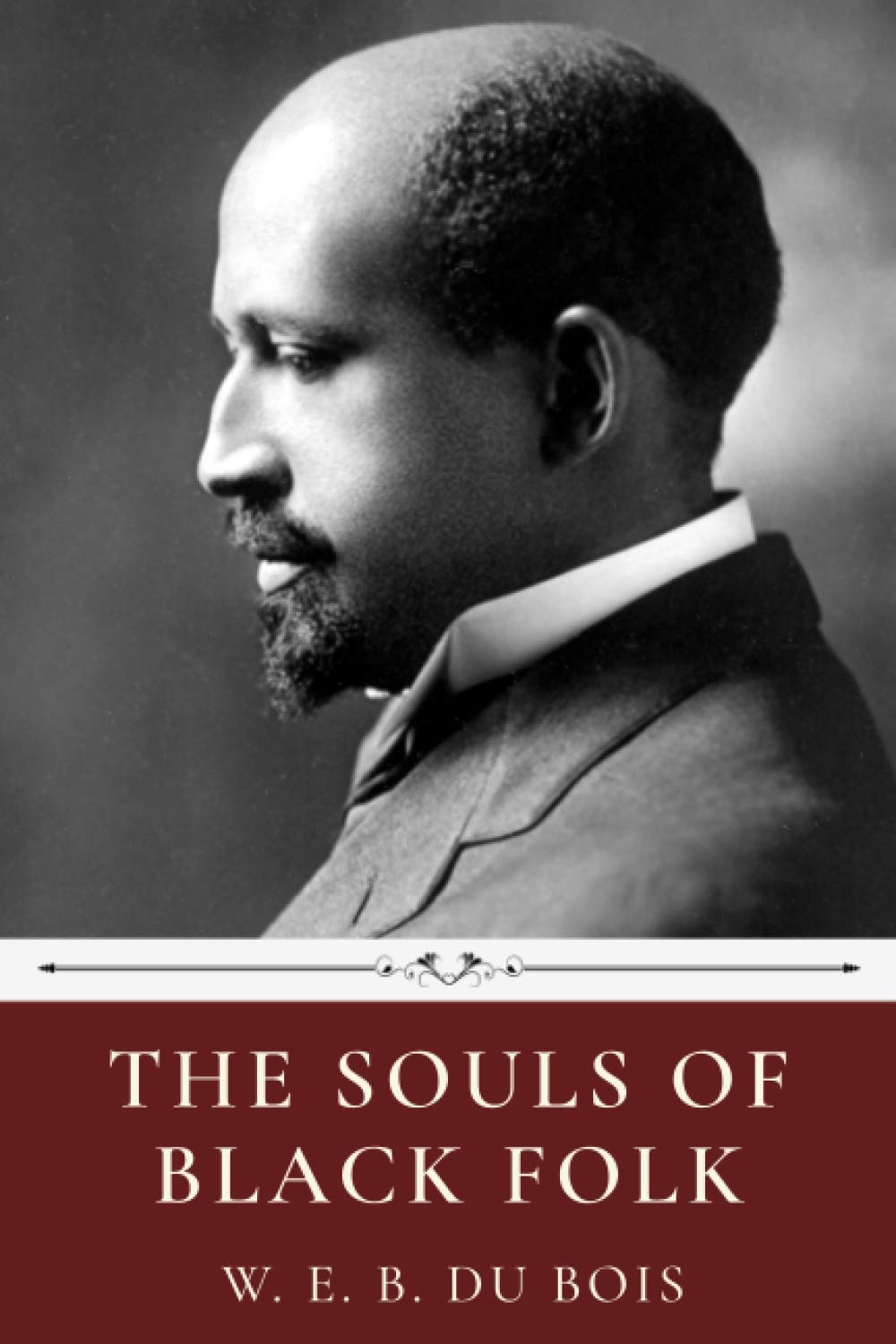 The Souls of Black Folk by W.E.B. Du Bois Social Sciences