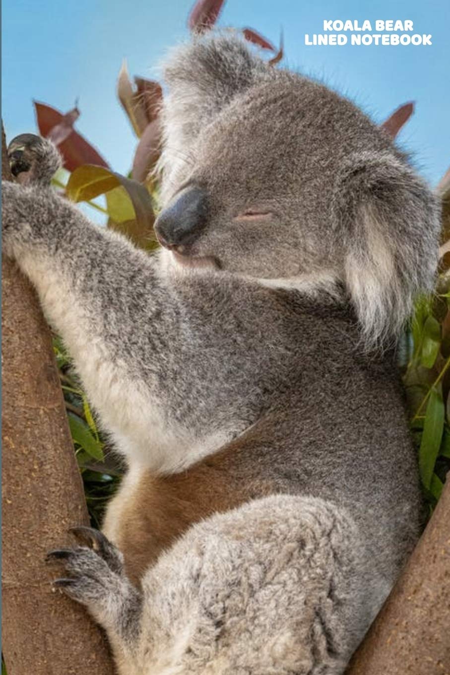 Koala Bear Lined Notebook: This is a simple yet stylish lined notebook (lined front and back). 112 pages, high quality cover and a handy (6 x 9) inches in size. Mathematics
