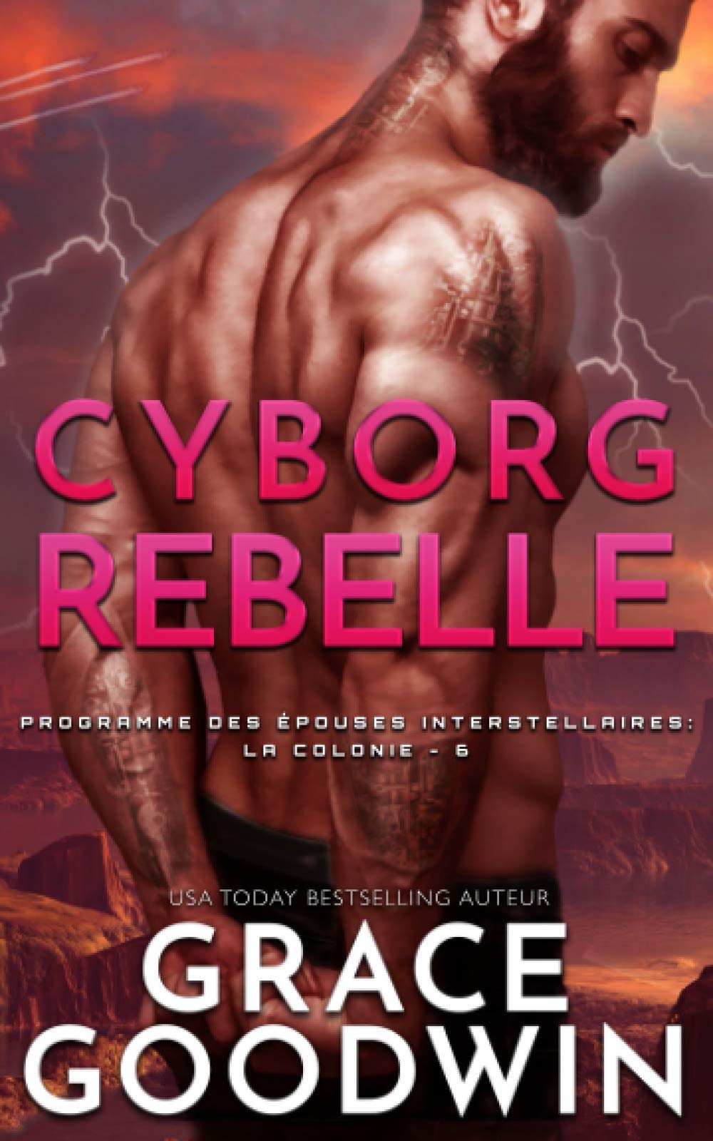 Cyborg Rebelle (Programme des Épouses Interstellaires: La Colonie, Band 6) Space Opera