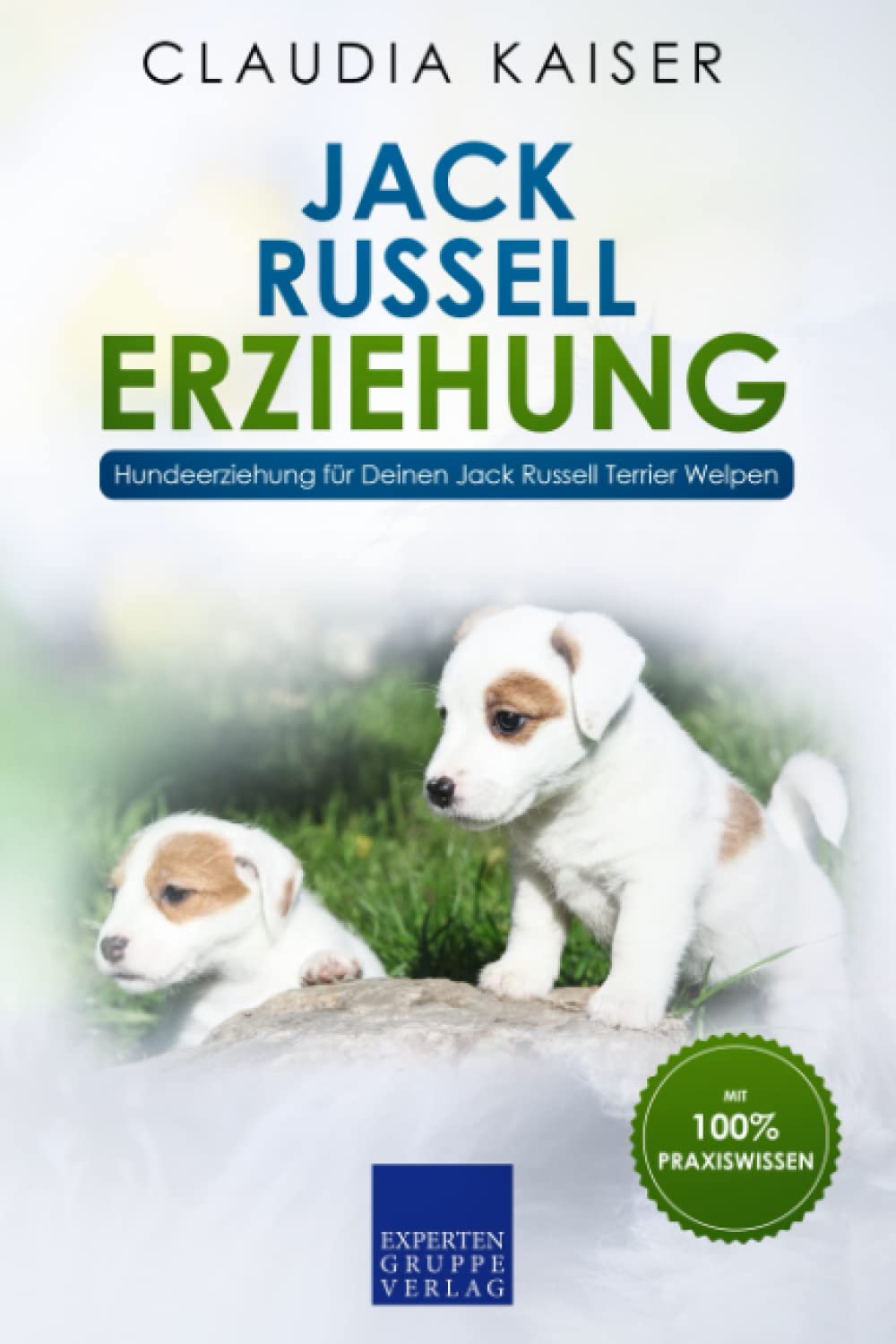 Jack Russell Erziehung: Hundeerziehung für Deinen Jack Russell Terrier Welpen Mathematics
