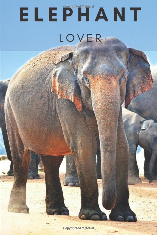 Elephant notebook: Elephant lover: Notebook gifts for women 6x9 120 page lined #6 Learning & Reference