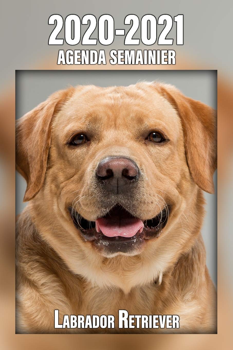 2020-2021 Agenda Semainier Labrador Retriever: A5, 221 Pages | 24 Mois | Planificateur & Organiseur | Calendrier | Une double page par semaine | Journal | Agenda | En Francais Pets