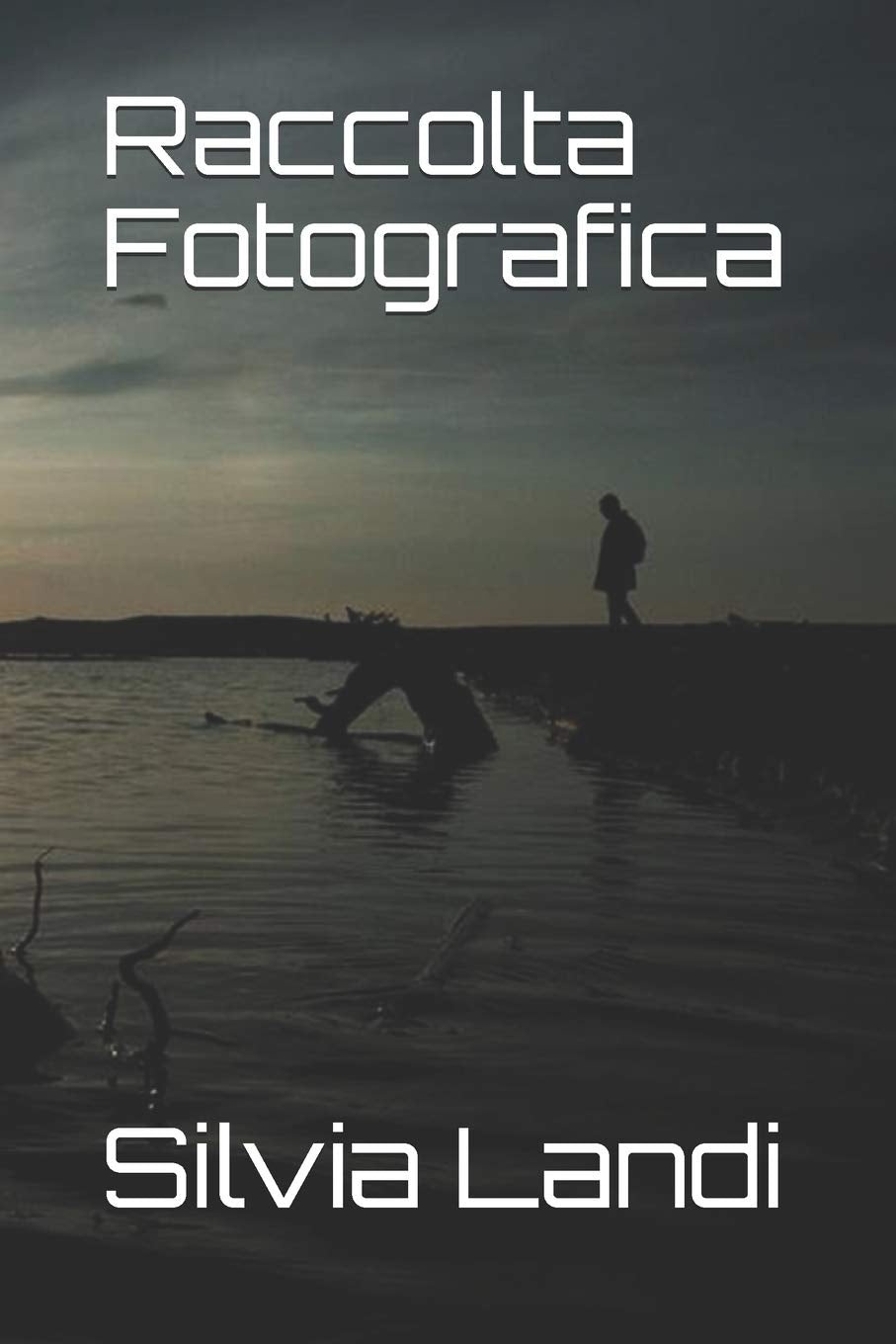 Raccolta Fotografica Contemporary literature