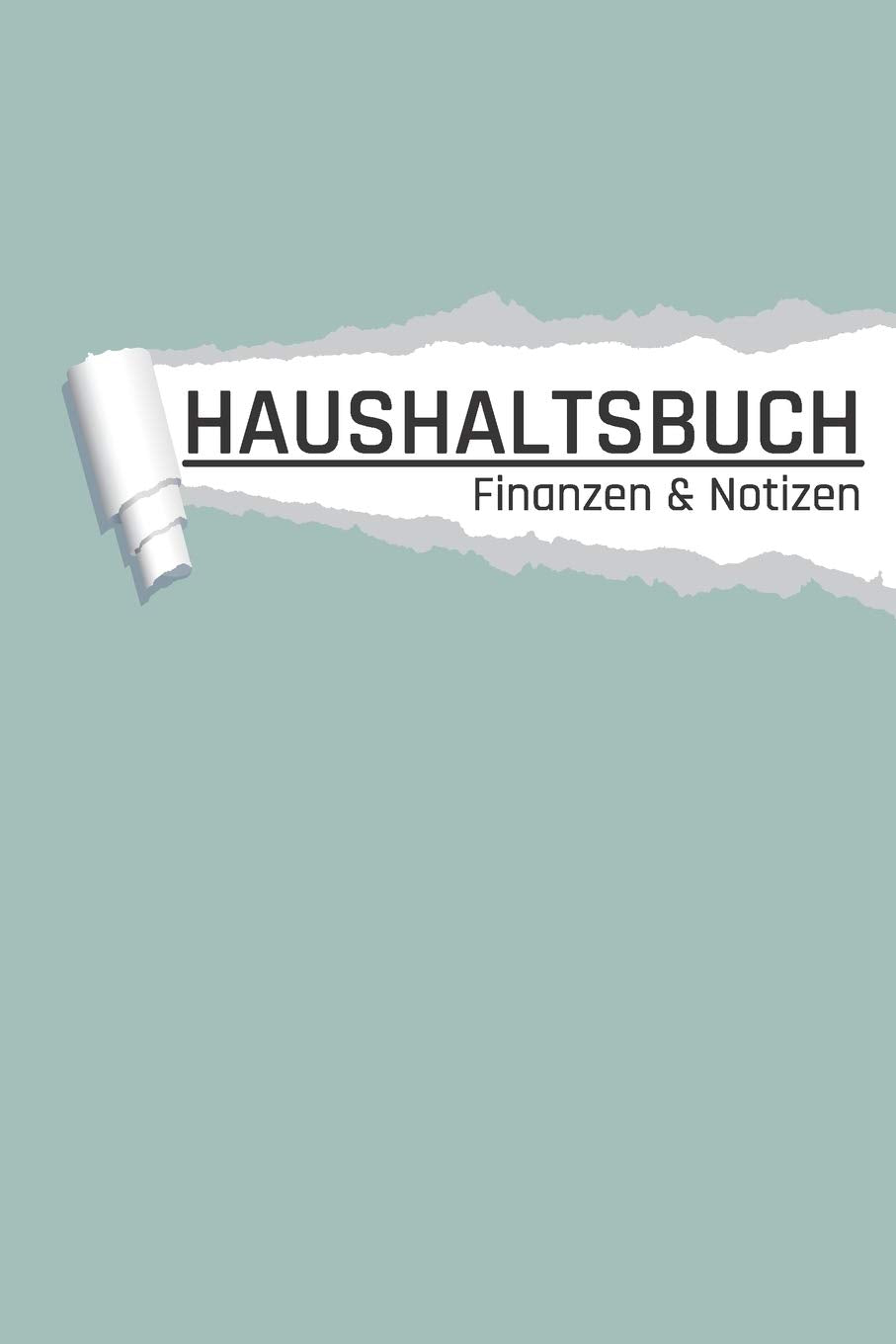 Haushaltsbuch: Farbe Mint I Einnahmen und Ausgaben planen und sparen I DIN A5 I 120 Seiten I Undatiert I 52 Wochen I Fixkosten I Bilanz I Finanzplaner (Finanzen, Band 1) Books