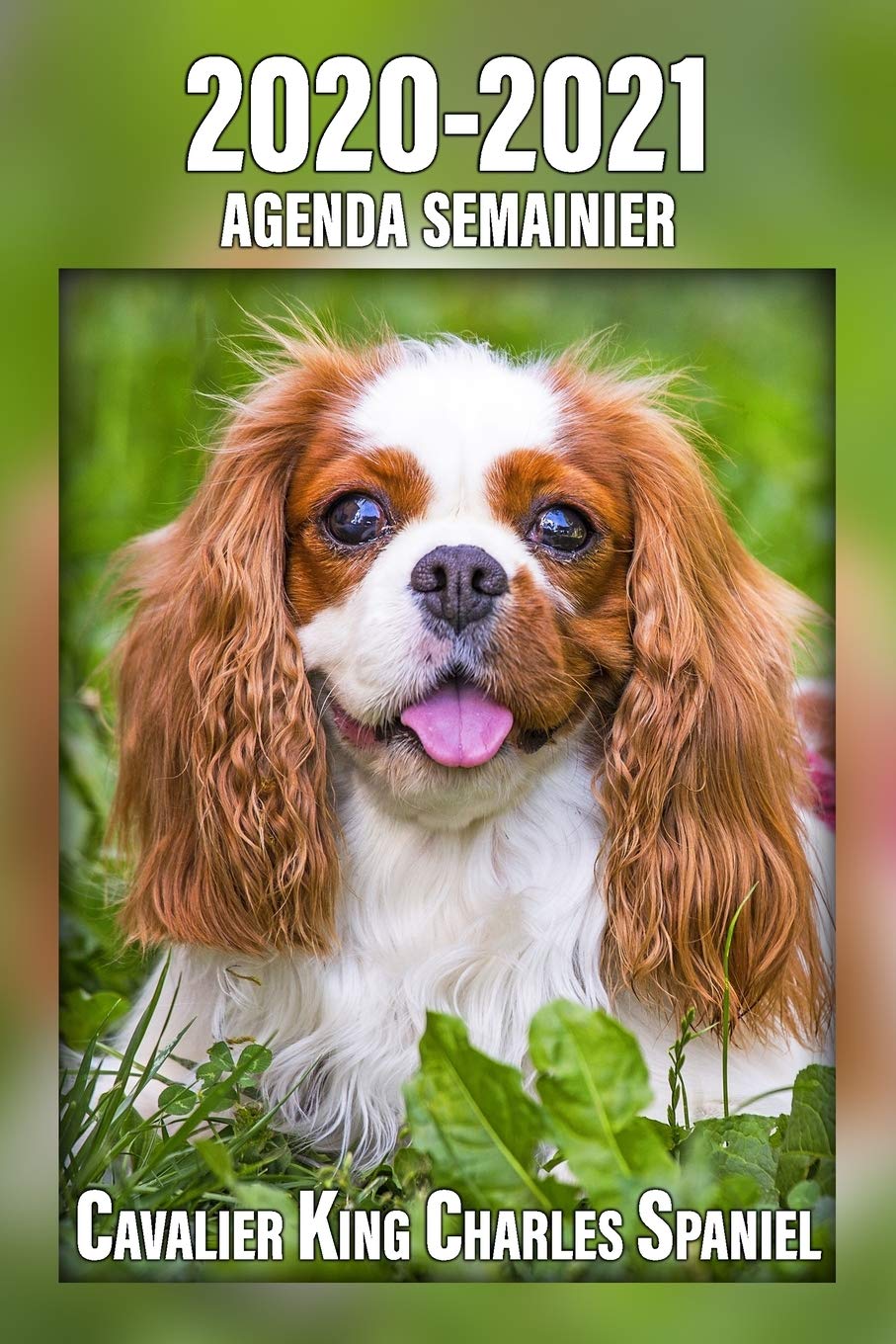 2020-2021 Agenda Semainier Cavalier King Charles Spaniel: A5, 221 Pages | 24 Mois | Planificateur & Organiseur | Calendrier | Une double page par semaine | Journal | Agenda | En Francais Pets