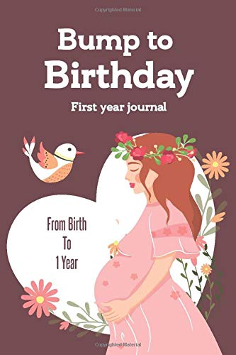 Bump to Birthday First year Journal, Happy princesse with red cover, Diary with Month Numbers From first Month to 1 Year, hold onto memories of the ... 110 Pages, Soft Cover, Mate Finish 6" x 9" ( Essays & Short Stories