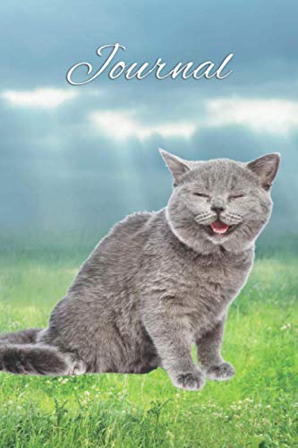 Journal: College Ruled Notebook for Kids, Teens & Students - Blank Medium Lined Diary for School, College & Everyday Notes - Funny Gray Cat Print Lifestyle