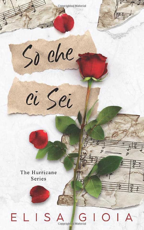So che ci sei (The Hurricane Series, Band 1) Contemporary literature Books