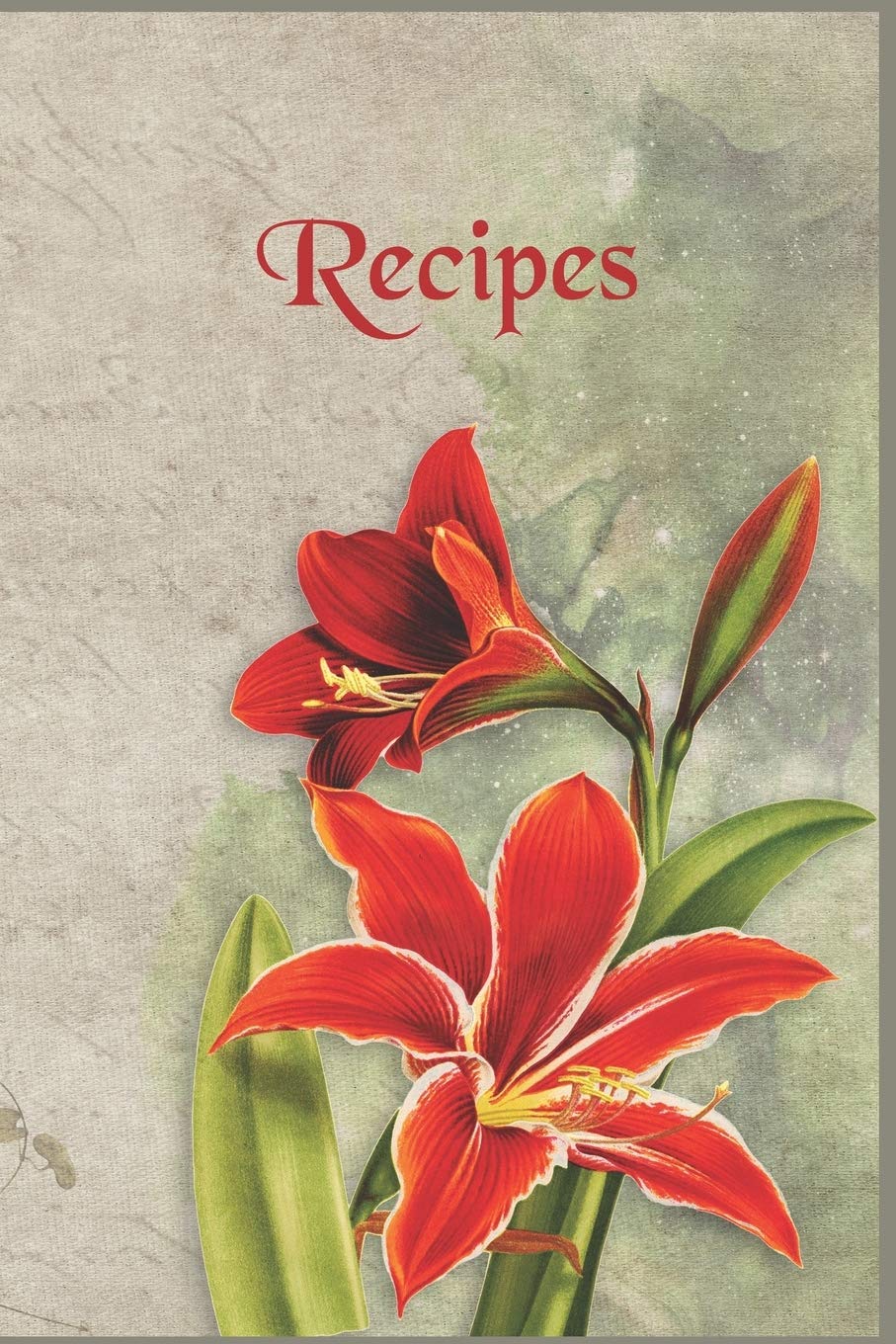 Recipe Journal To Write In: Floral Vintage Recipe Journail 6'×9 ' 120 pages Media & Communication