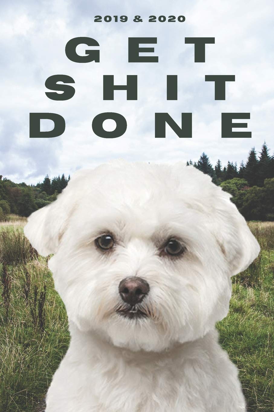 2020 & 2021 Two-Year Daily Planner To Get Shit Done | Funny Dog Appointment Book | Two Year Weekly Agenda Notebook | Best Gift For Bichon Frise Owner: ... of Monthly Plans | Day Log For Cute Pet Lover Business, Finance & Career