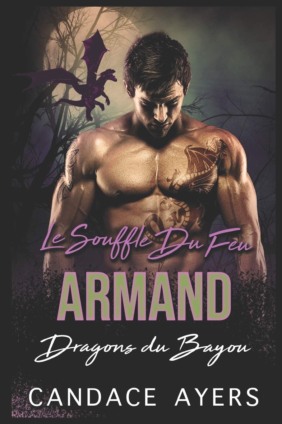 Le Souffle du Feu: Armand: Une Romance Paranormale (Dragons du Bayou, Band 5) Romantic Fantasy