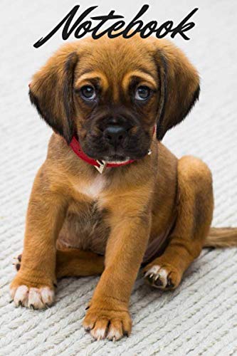 Cute Brown Little Puppy Notebook , 6" X 9" ,120 Pages: Notebook , Journal , Wihe papers , No Bleed Religion & Esotericism